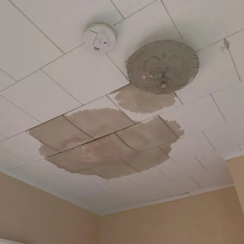 Ceiling Water Damage Repair in Brock Hall, MD