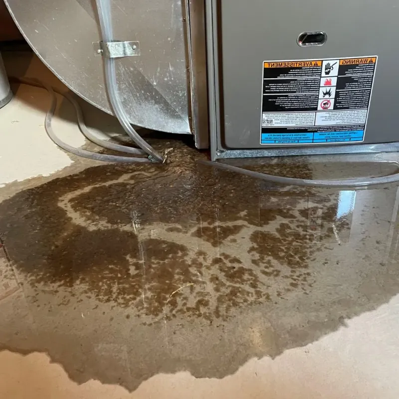 Pipe Burst and Leak Restoration in Brock Hall, MD